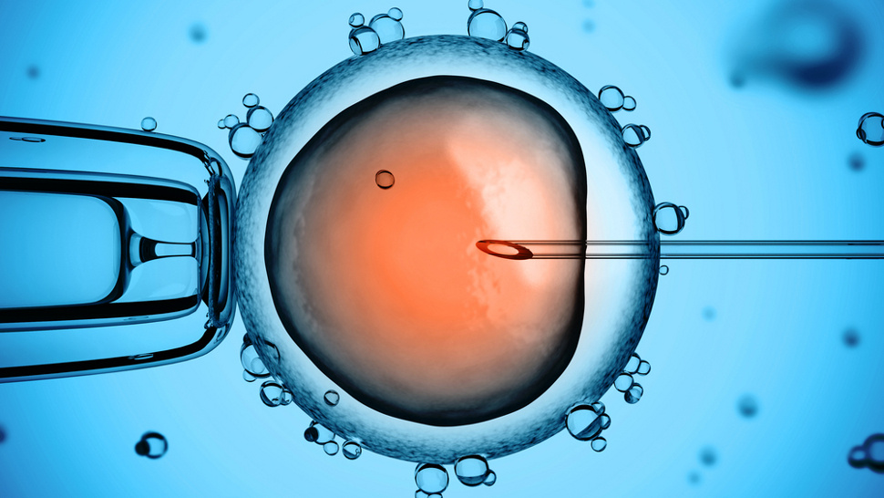 Same Sex Procreation