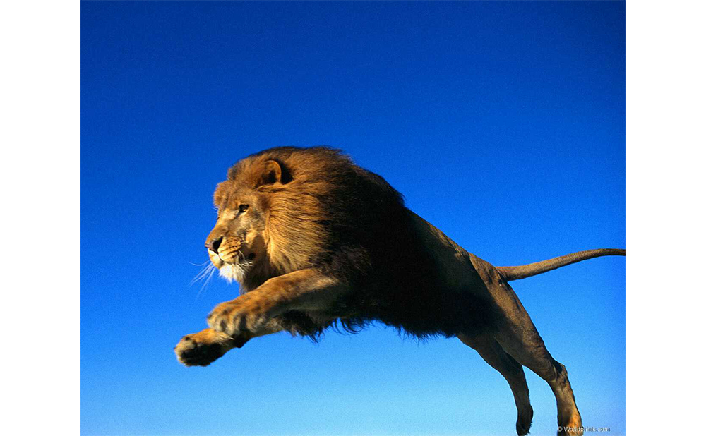 En finir avec l’enfant comme objet a libéré