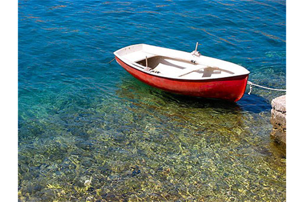 « Ce fut comme une apparition »