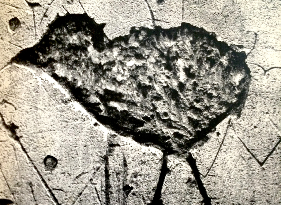 « Faire accueil à la jouissance »