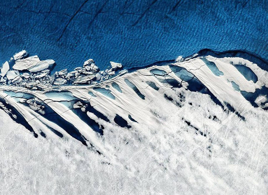 Comment surmonter l’affinité paranoïaque de l’homme ? Extraits de « Vie de Lacan »