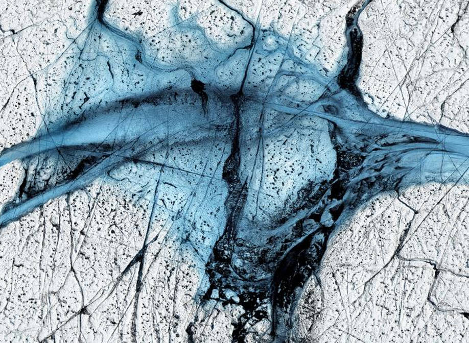 Appréhender la haine comme protagoniste de la culture