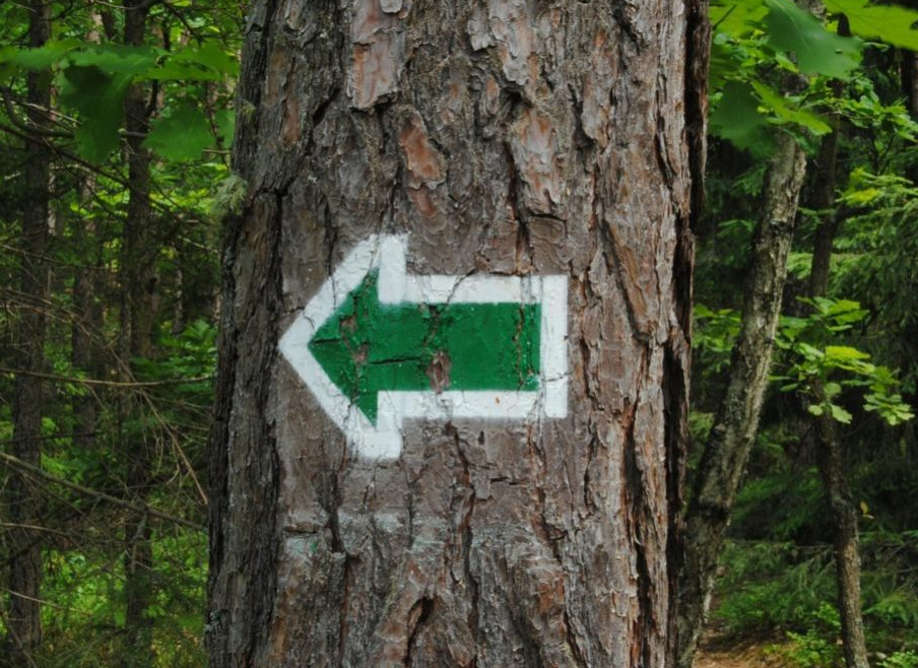 « Apprendre, désir ou dressage », c’est de la politique