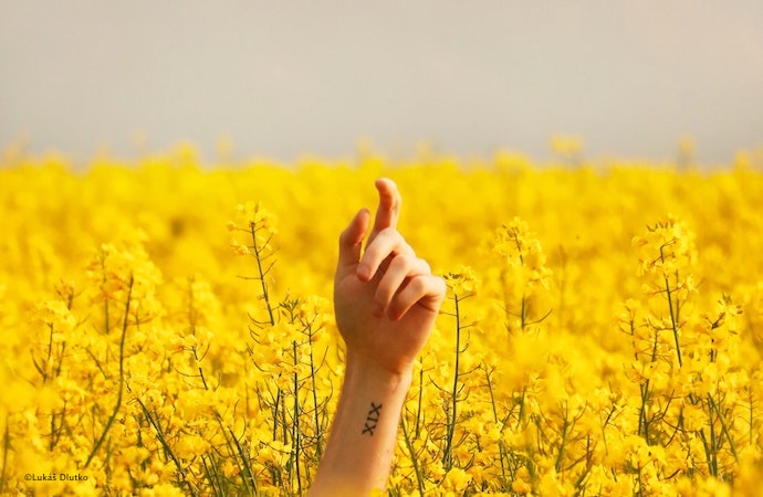 Les identifications : de « Massenpsychologie » aux « Uns-tout-seuls »