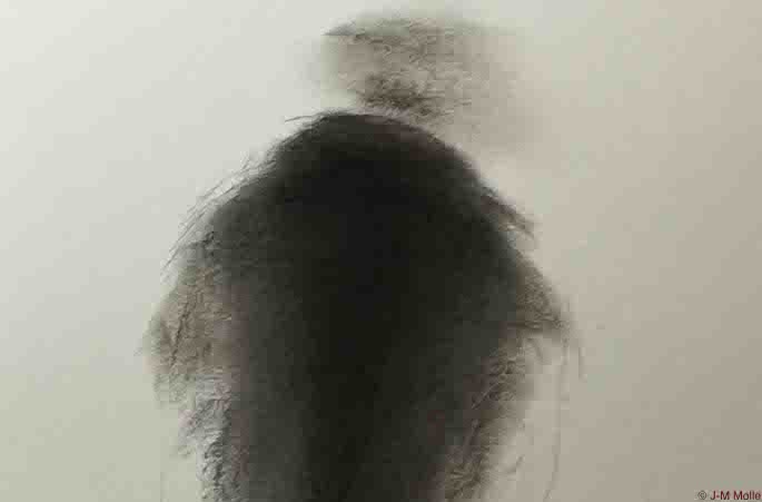 CHRONIQUE DU MALAISE : La liberté d’expression : le tout et la limite