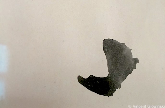 UFORCA – Cinq remarques au cas présenté par Nathalie Crame