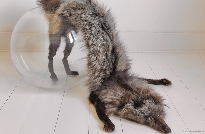 Edito : Une jouissance métonymisée