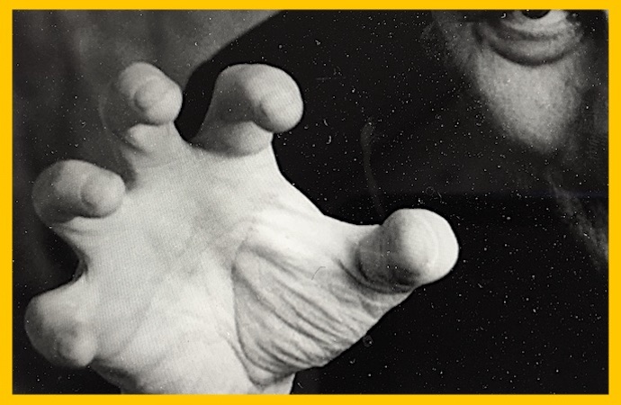 Edito : Sollers, vite !