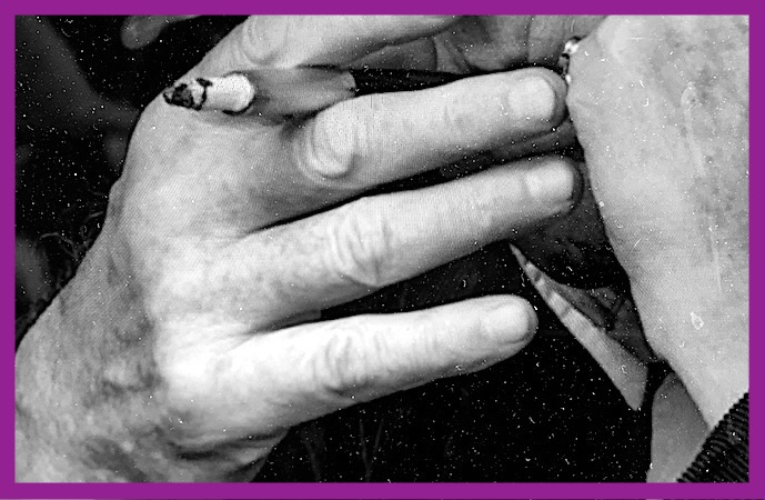 Edito : Sollers, vite !