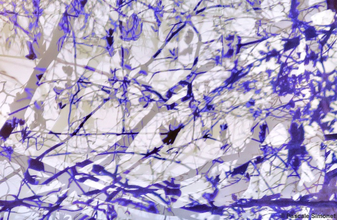 Edito : Des substances