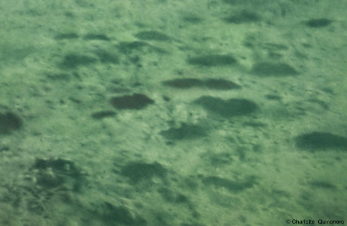 Edito : La littérature : s’émouvoir du réel