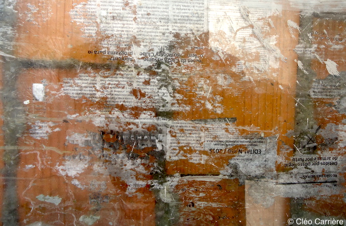 Edito : « L’élangues » : le choix de l’intraduisible