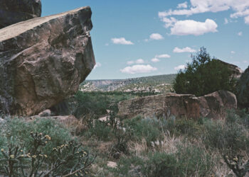 Trois questions à Anaëlle Lebovits-Quenehen