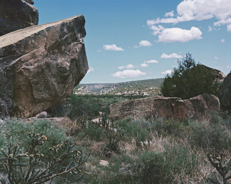Trois questions à Anaëlle Lebovits-Quenehen