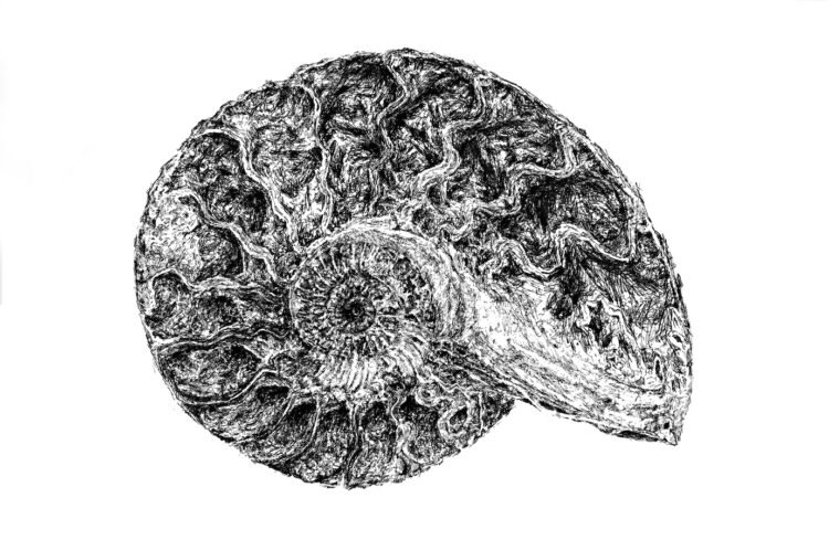 Trois questions à Véronique Tuzzolino et Véronique Bataille