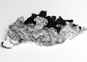 Trois questions à Véronique Tuzzolino et Véronique Bataille