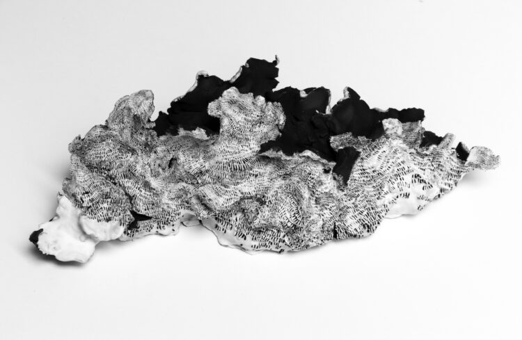 Trois questions à Véronique Tuzzolino et Véronique Bataille