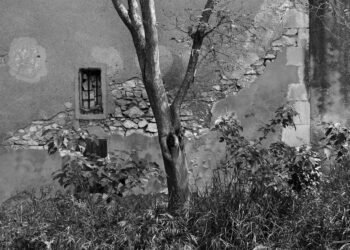 Subjectivité et crime : le procès du 13 novembre