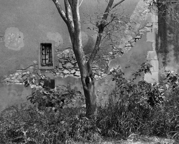 Subjectivité et crime : le procès du 13 novembre