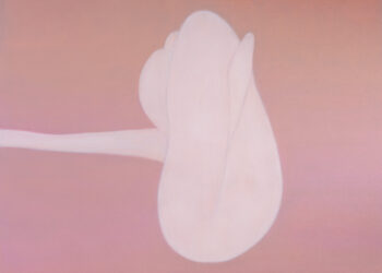 Quatre questions à la magistrate Sylvie Mottes