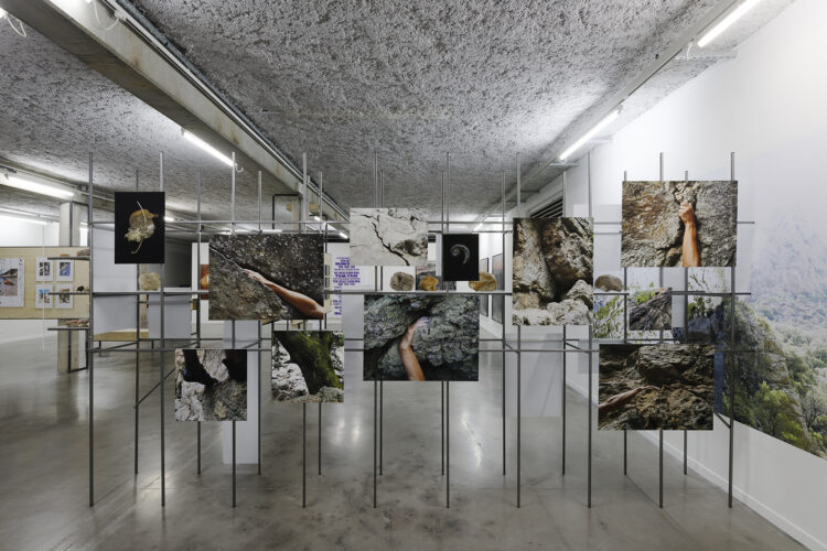 Vers un transfert numérique ?