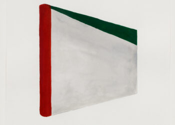 Questions à Anaëlle Lebovits-Quenehen