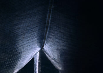 Qu’il serait beau d’être plus jeune !