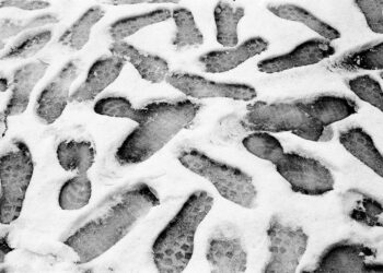 N’est pas athée qui veut